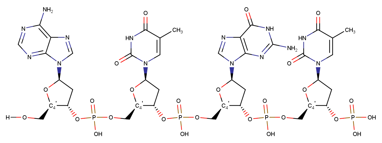 nucleicacids