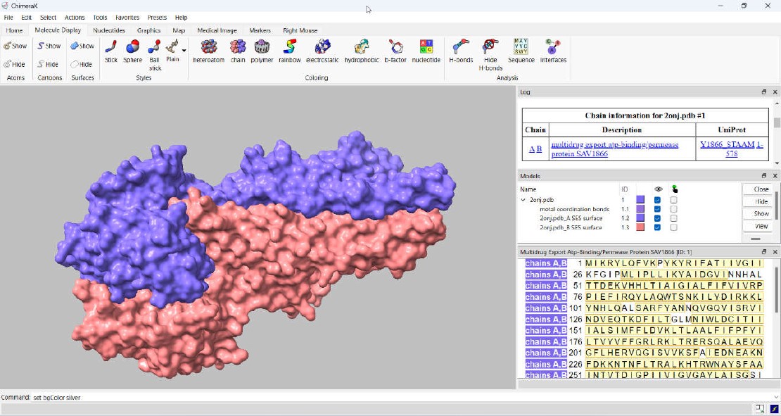 An Introduction to ChimeraX User Interface