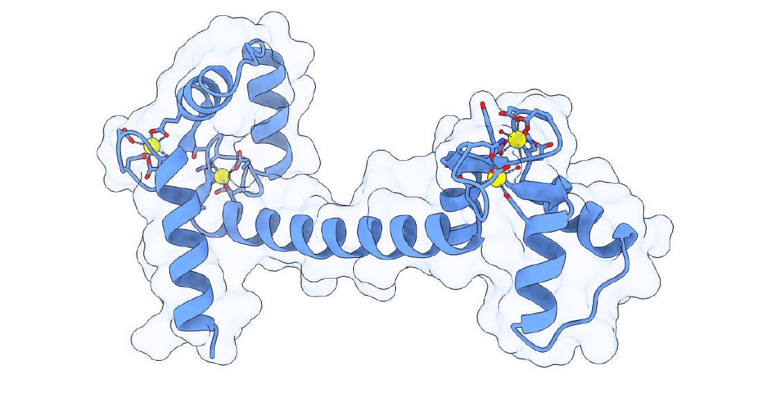 An Introduction to Molecular Graphics