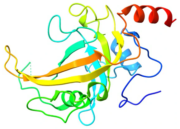 ribbon-representations